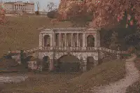 Image posted by the member