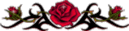 Image posted by the member