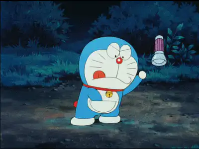 Image posted by the member