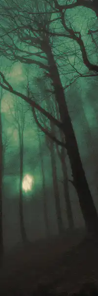 Image posted by the member