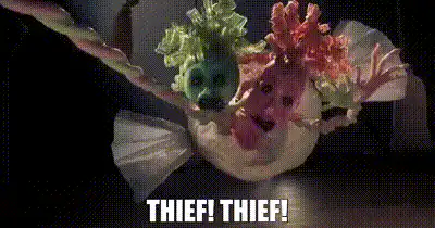 Image posted by the member