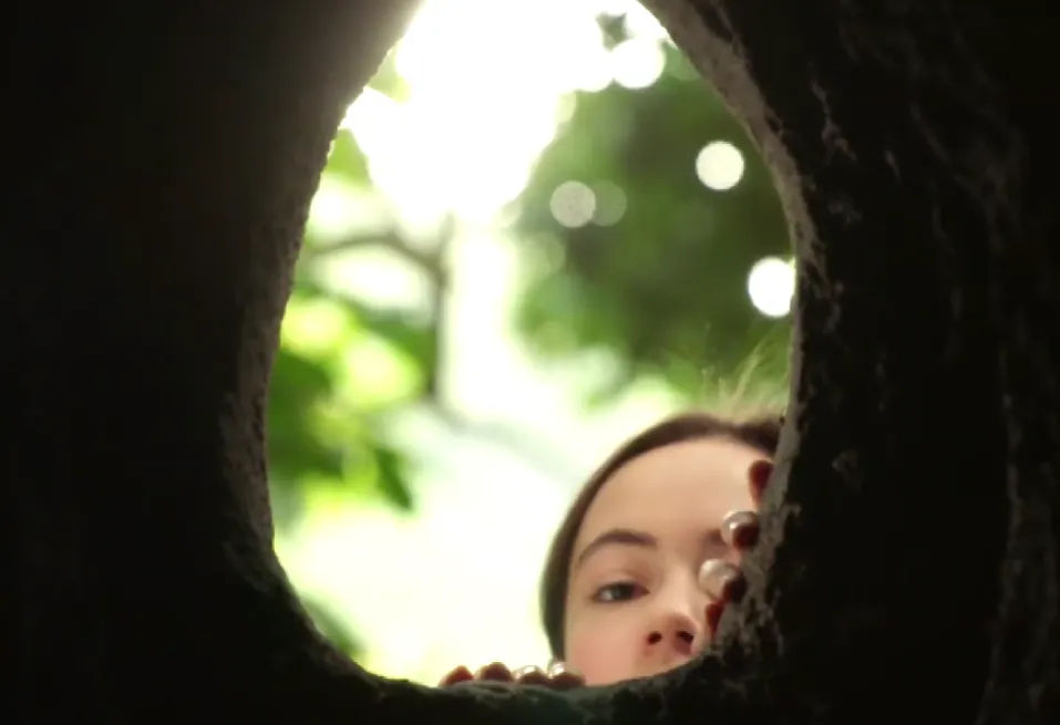 picture of aislin peeking into a tree hollow