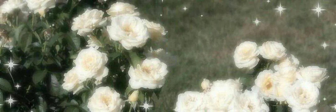 Image posted by the member