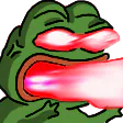 Image posted by the member