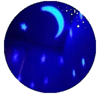 Image posted by the member