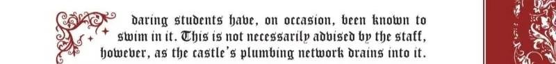 Image posted by the member