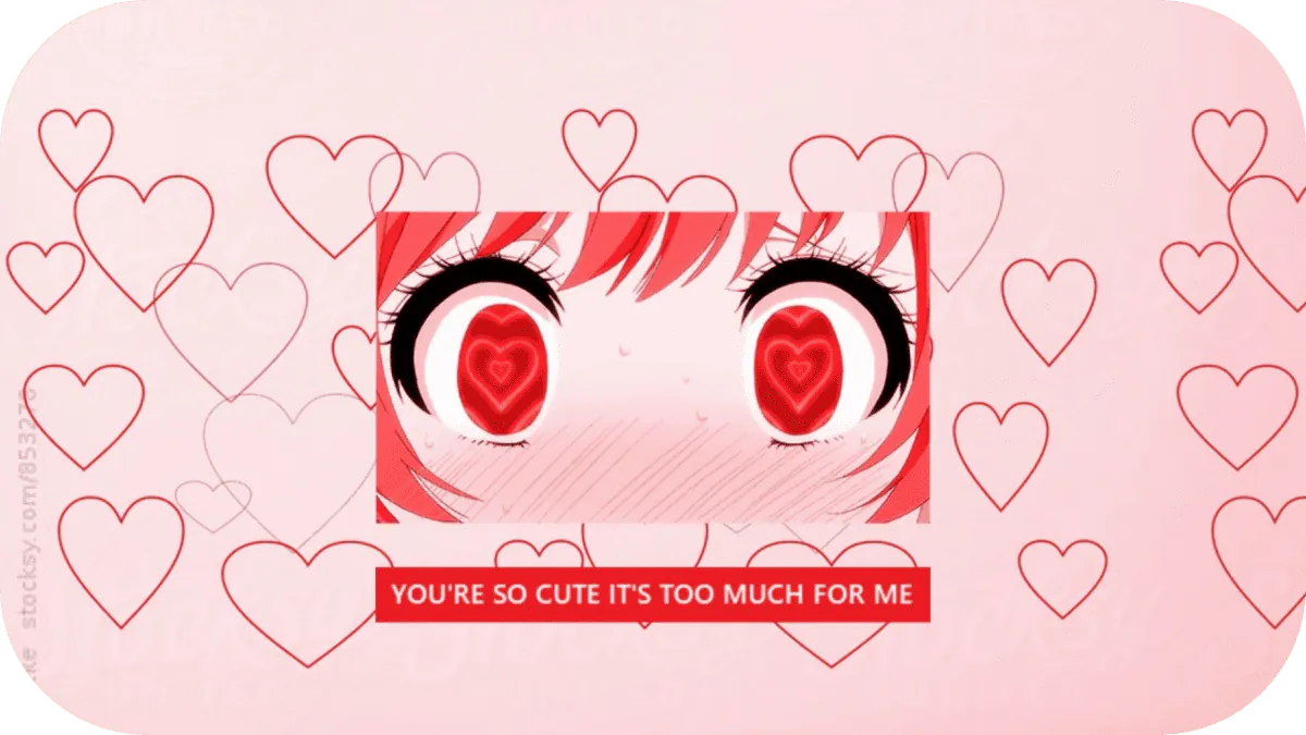 Image posted by the member