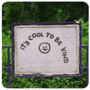 Image posted by the member