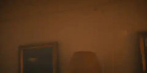 Image posted by the member