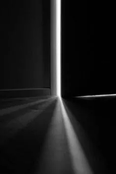 Image posted by the member
