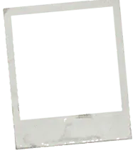 Image posted by the member
