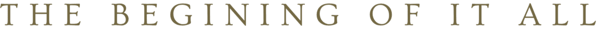 Image posted by the member