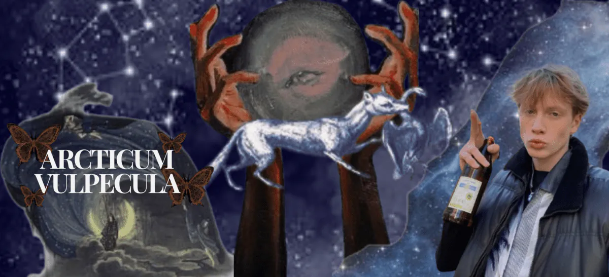 Image posted by the member