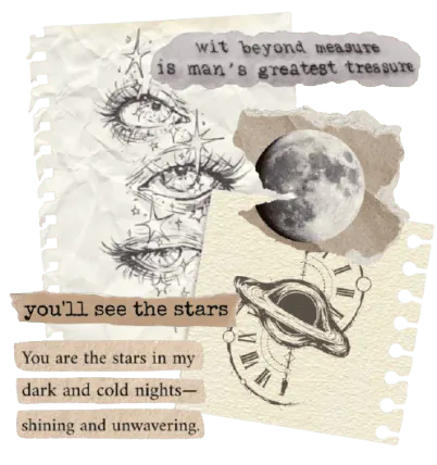 Image posted by the member