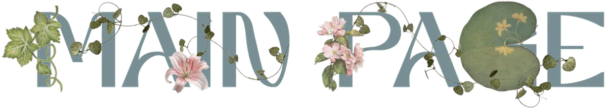Image posted by the member
