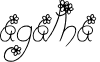 Image posted by the member