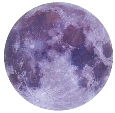Image posted by the member