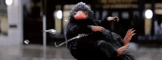 Image posted by the member