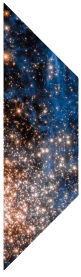 Image posted by the member