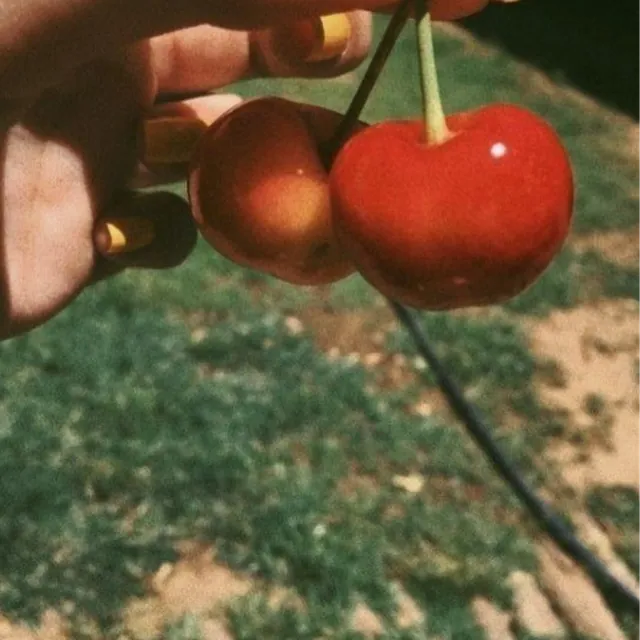 Image posted by the member