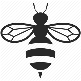 Image posted by the member