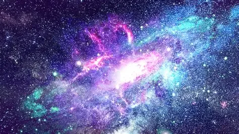 Image posted by the member