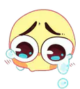 Image posted by the member