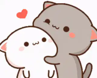 Image posted by the member
