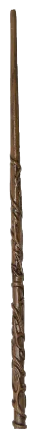 Image posted by the member