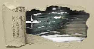 Image posted by the member