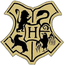 Image posted by the member