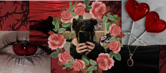 Image posted by the member