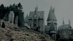 Image posted by the member