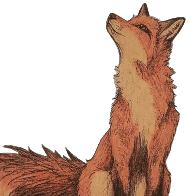 Image posted by the member