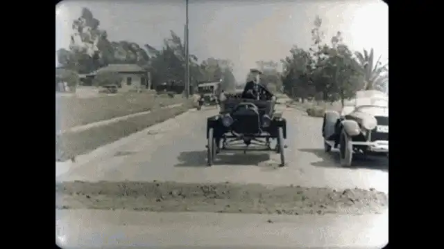 Image posted by the member