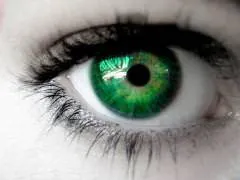 Image posted by the member