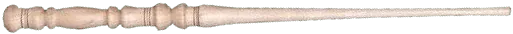 Image posted by the member
