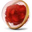 Image posted by the member