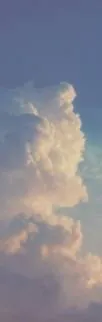 Image posted by the member