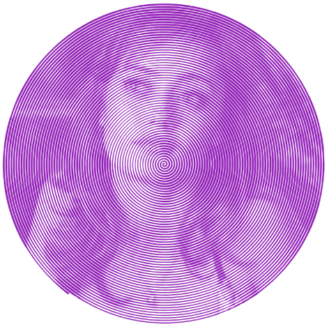Image posted by the member