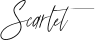 Image posted by the member