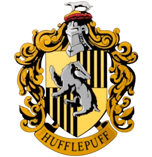 Image posted by the member
