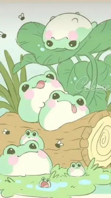 Image posted by the member