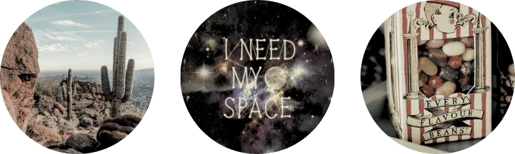 Image posted by the member