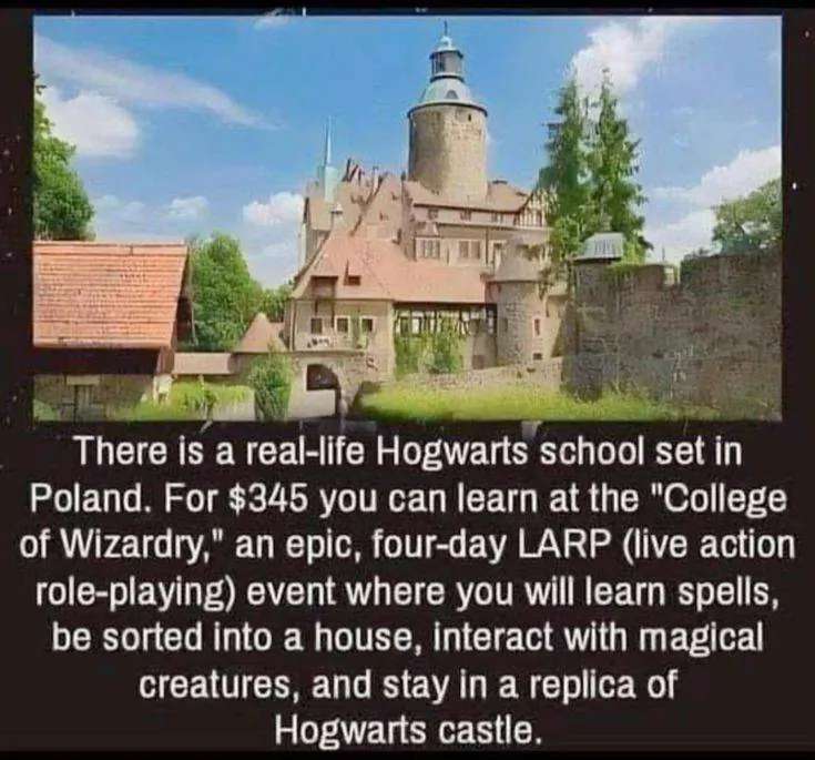 Image posted by the member