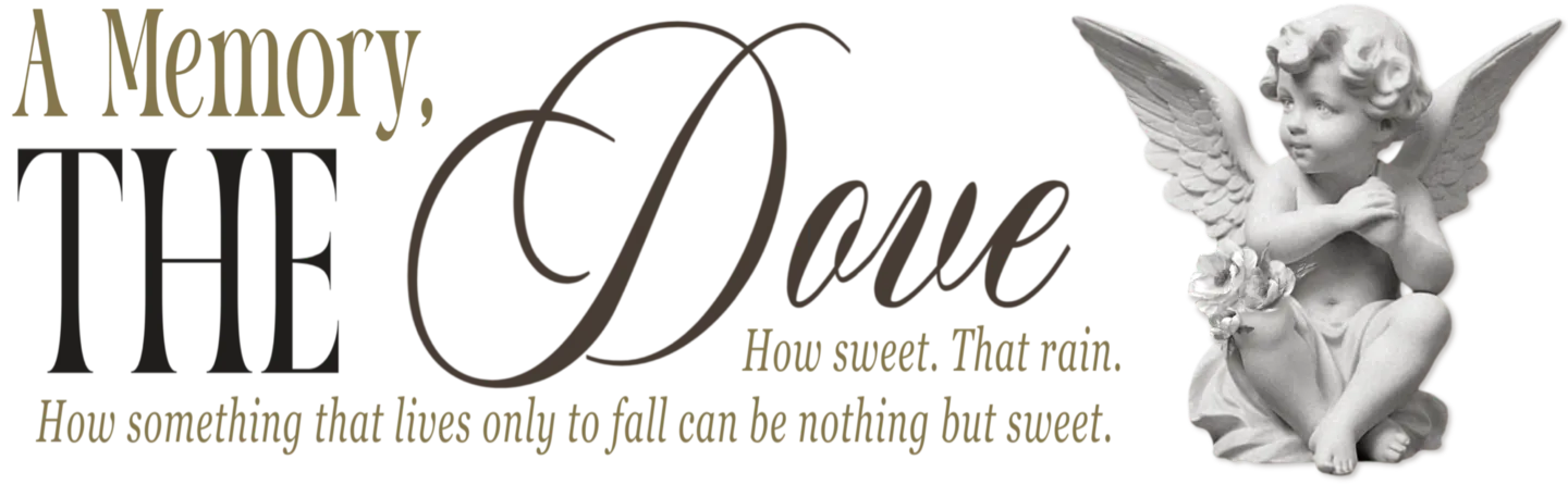 Image posted by the member