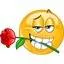Image posted by the member