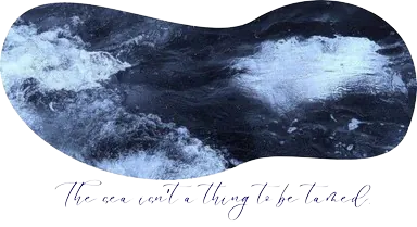 Image posted by the member