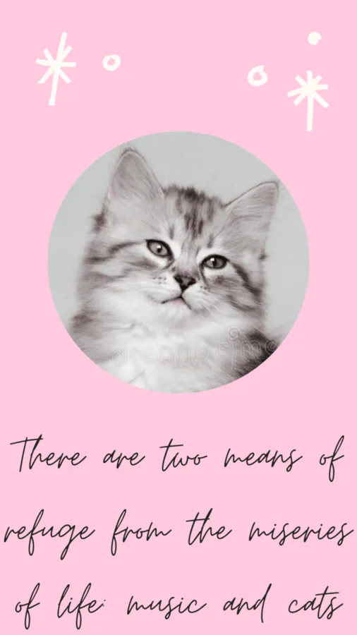Image posted by the member
