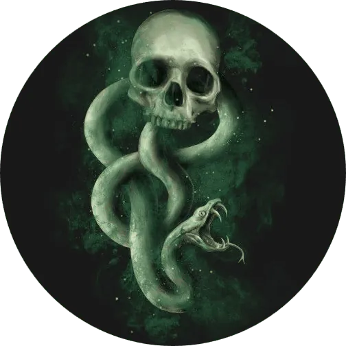 Image posted by the member